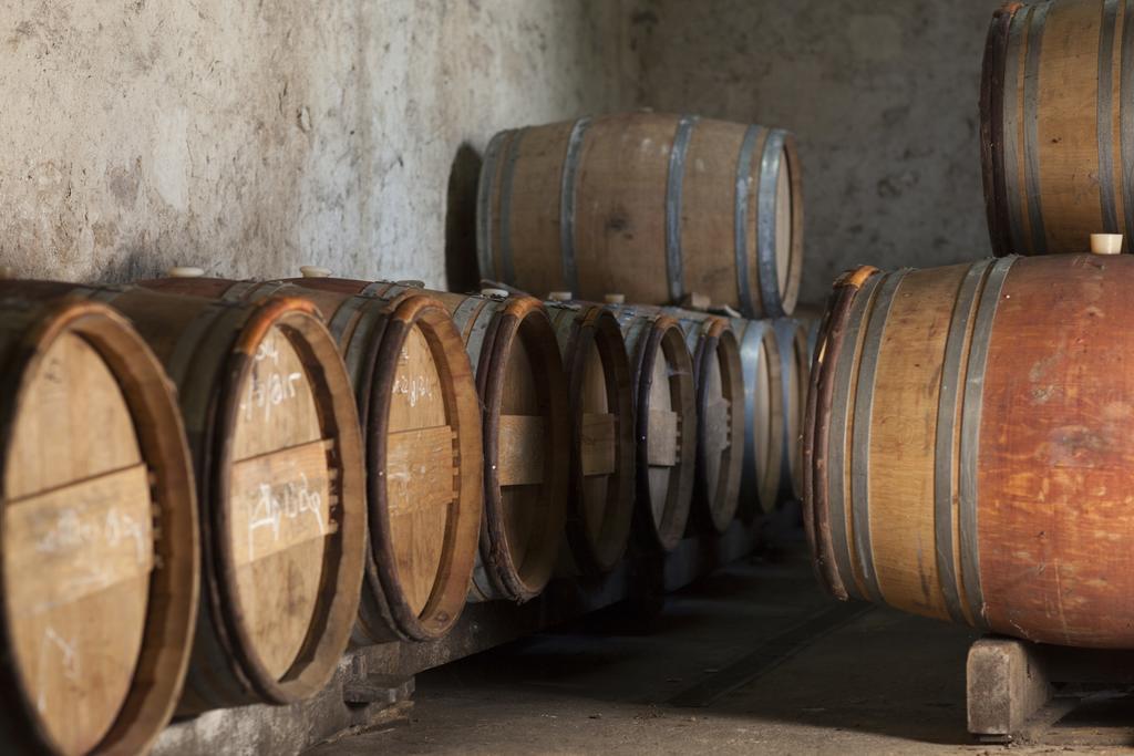 Clos Vieux Rochers Vineyard Puisseguin ภายนอก รูปภาพ