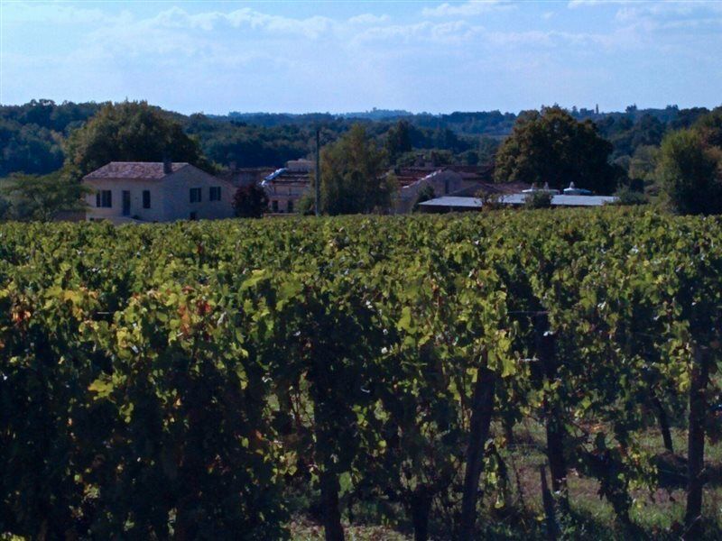 Clos Vieux Rochers Vineyard Puisseguin ภายนอก รูปภาพ